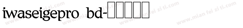 iwaseigepro bd字体转换
